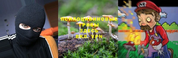 стаф Белоозёрский