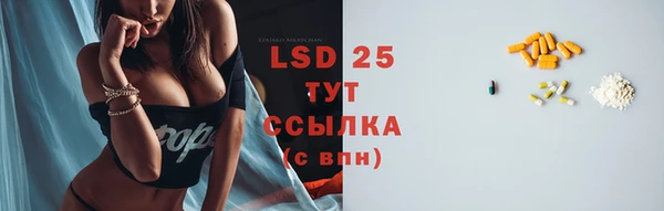 стаф Белоозёрский