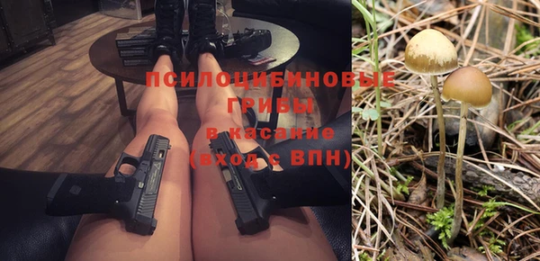 тгк Беломорск