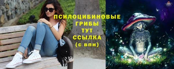 тгк Беломорск
