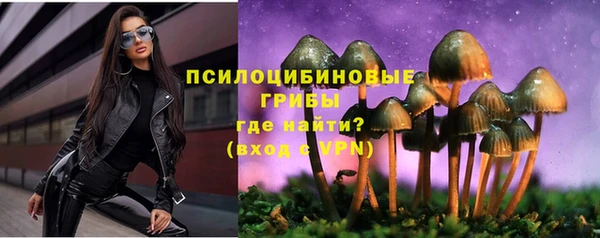 а пвп мука Белокуриха