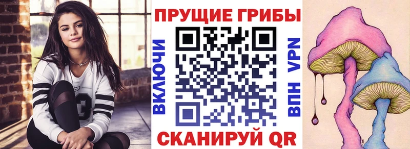 Галлюциногенные грибы Psilocybe  Видное 